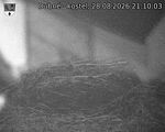 Capi_Dubne_20260828_211003.jpg