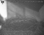 Capi_Dubne_20260828_230502.jpg