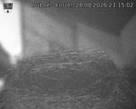 Capi_Dubne_20260828_231502.jpg