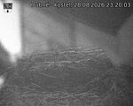 Capi_Dubne_20260828_232003.jpg