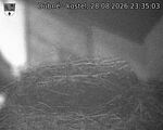 Capi_Dubne_20260828_233503.jpg