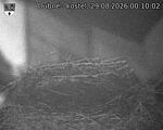 Capi_Dubne_20260829_001002.jpg