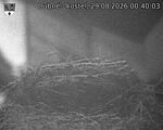 Capi_Dubne_20260829_004003.jpg
