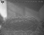 Capi_Dubne_20260829_013502.jpg