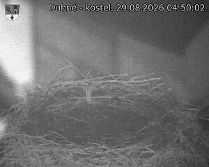 preload