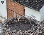 Capi_Dubne_20260829_063003.jpg