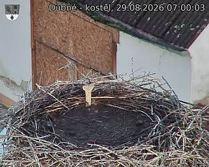 preload