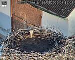 Capi_Dubne_20260829_071504.jpg