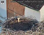 Capi_Dubne_20260829_072004.jpg
