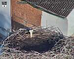 Capi_Dubne_20260829_072504.jpg