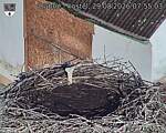 Capi_Dubne_20260829_075503.jpg