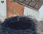 Capi_Dubne_20260829_082503.jpg