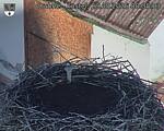 Capi_Dubne_20260829_083503.jpg