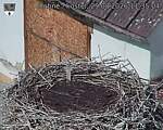 Capi_Dubne_20260829_113504.jpg