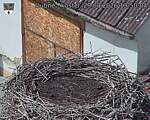 Capi_Dubne_20260829_135004.jpg
