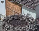 Capi_Dubne_20260829_135503.jpg