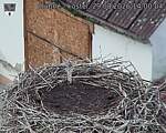 Capi_Dubne_20260829_140004.jpg