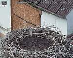 Capi_Dubne_20260829_140503.jpg