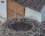 Capi_Dubne_20260829_141003.jpg