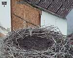Capi_Dubne_20260829_142003.jpg