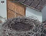 Capi_Dubne_20260829_142503.jpg