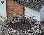 Capi_Dubne_20260829_143003.jpg