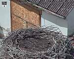 Capi_Dubne_20260829_144003.jpg