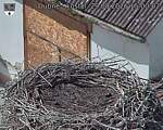 Capi_Dubne_20260829_150003.jpg