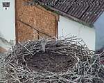 Capi_Dubne_20260829_152003.jpg