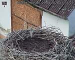Capi_Dubne_20260829_153503.jpg