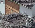 Capi_Dubne_20260829_154503.jpg