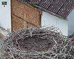 Capi_Dubne_20260829_155504.jpg