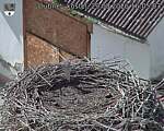 Capi_Dubne_20260829_160503.jpg