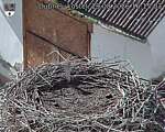 Capi_Dubne_20260829_161503.jpg