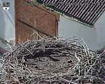 Capi_Dubne_20260829_162503.jpg
