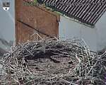 Capi_Dubne_20260829_163503.jpg