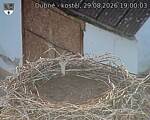 Capi_Dubne_20260829_190003.jpg