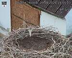 Capi_Dubne_20260829_190503.jpg