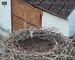 Capi_Dubne_20260829_192003.jpg