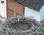 Capi_Dubne_20260829_200502.jpg