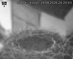Capi_Dubne_20260829_202003.jpg