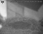 Capi_Dubne_20260829_203002.jpg