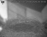 Capi_Dubne_20260829_203502.jpg