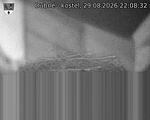Capi_Dubne_20260829_220832.jpg