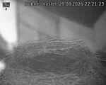 Capi_Dubne_20260829_222123.jpg