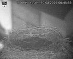 Capi_Dubne_20260830_004555.jpg
