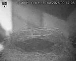 Capi_Dubne_20260830_004705.jpg