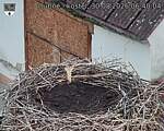 Capi_Dubne_20260830_064004.jpg