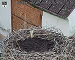 Capi_Dubne_20260830_073004.jpg