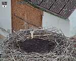 Capi_Dubne_20260830_074003.jpg